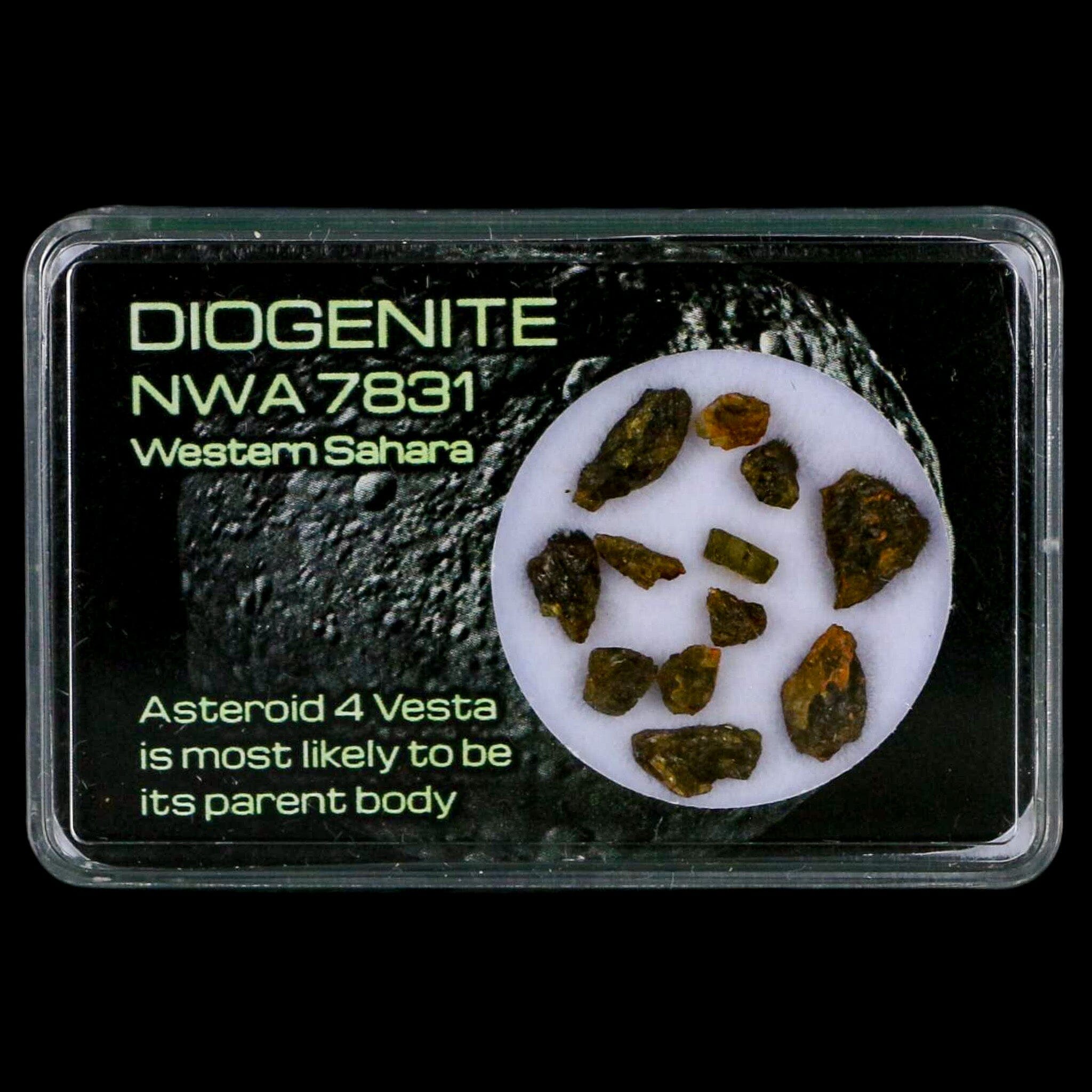 Diogenite Meteorites Asteroid 4 Vesta Specimen NMW 7831 Western Sahara Display - Fossil Age Minerals