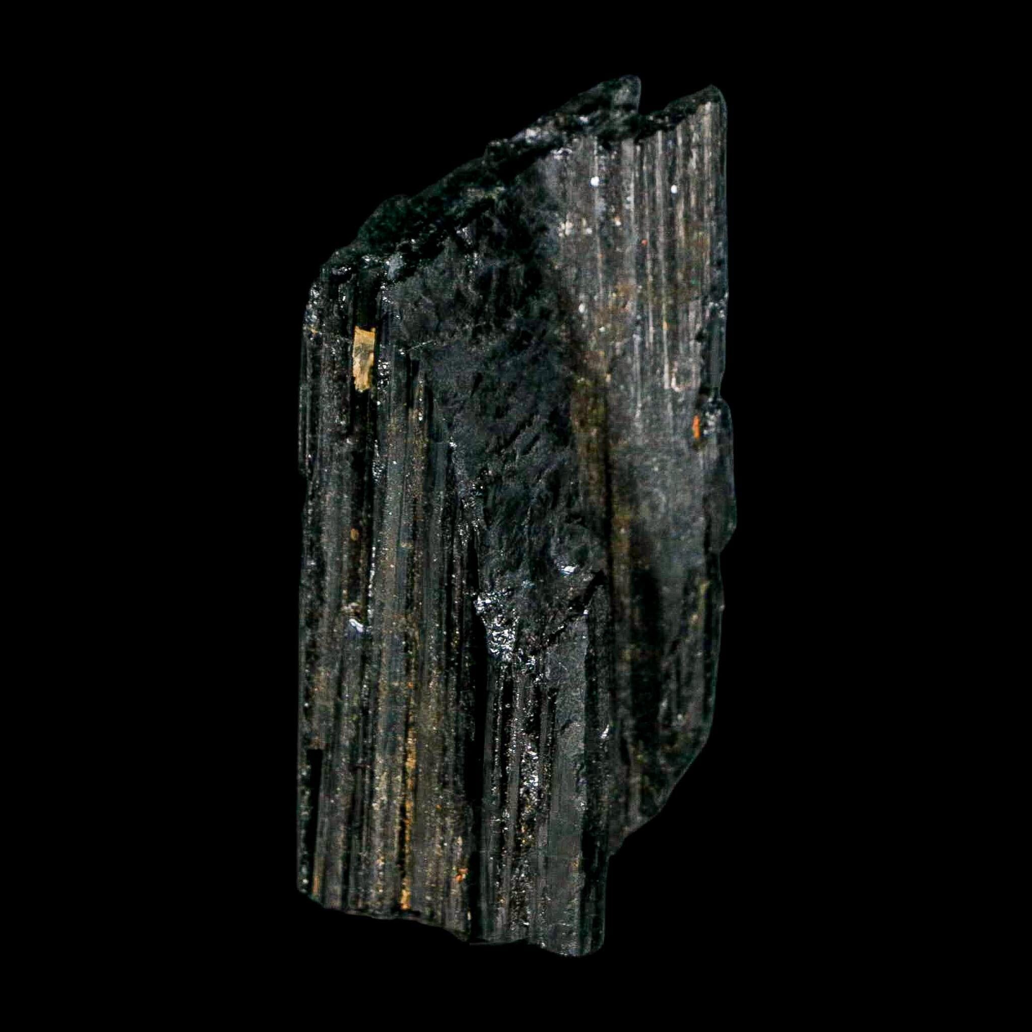 2.2" Natural Rough Black Tourmaline Mineral Crystal Specimen Schorl Brazil - Fossil Age Minerals