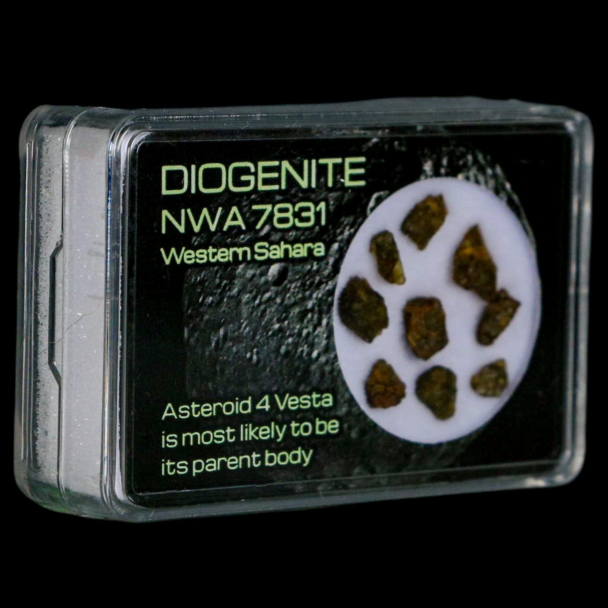 Diogenite Meteorites Asteroid 4 Vesta Specimen NMW 7831 Western Sahara Display - Fossil Age Minerals