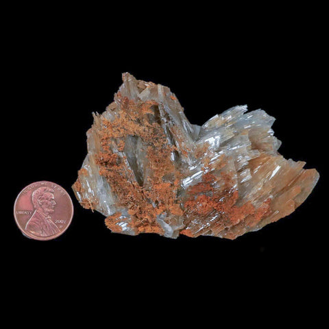 3.1" Ice Blue Barite Blades Crystal Mineral Specimen Mabladen Morocco - Fossil Age Minerals