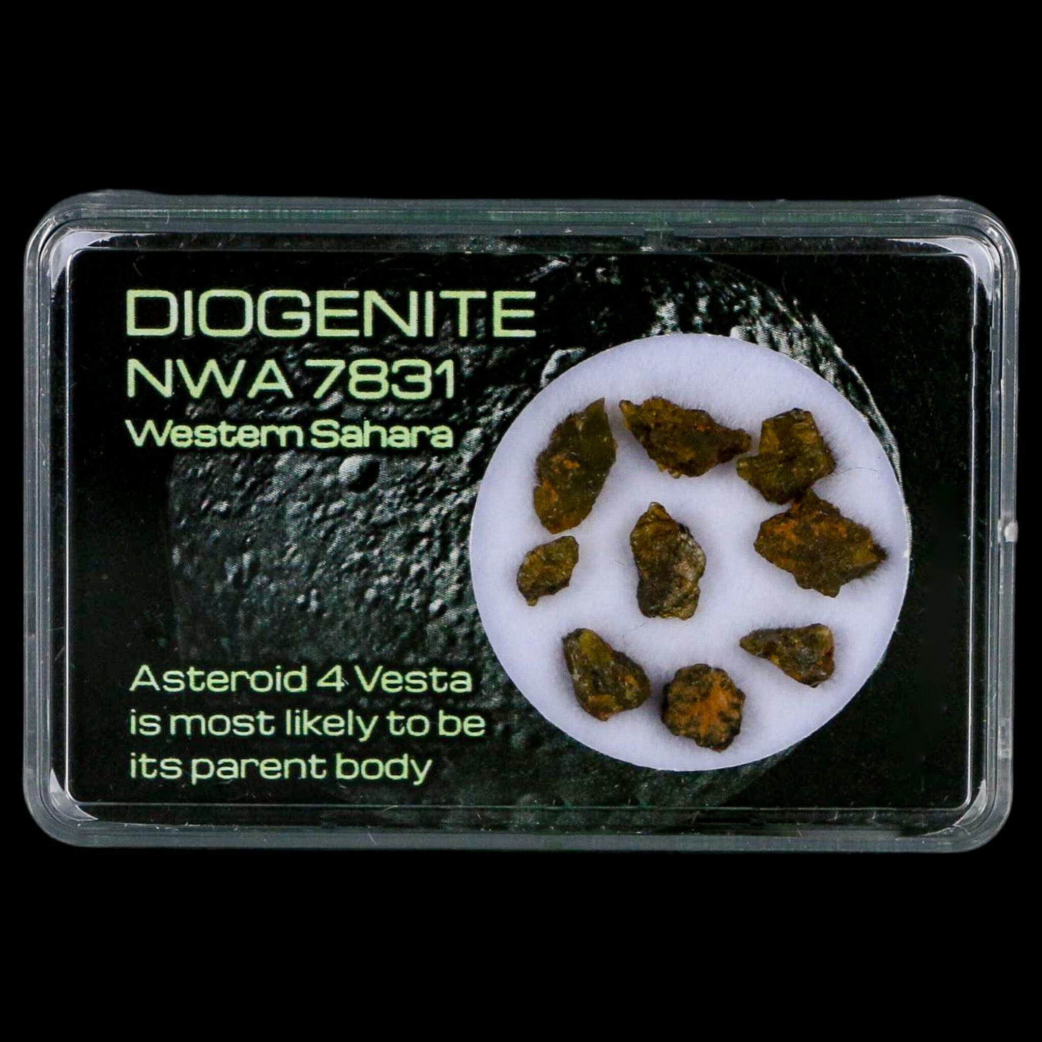 Diogenite Meteorites Asteroid 4 Vesta Specimen NMW 7831 Western Sahara Display - Fossil Age Minerals