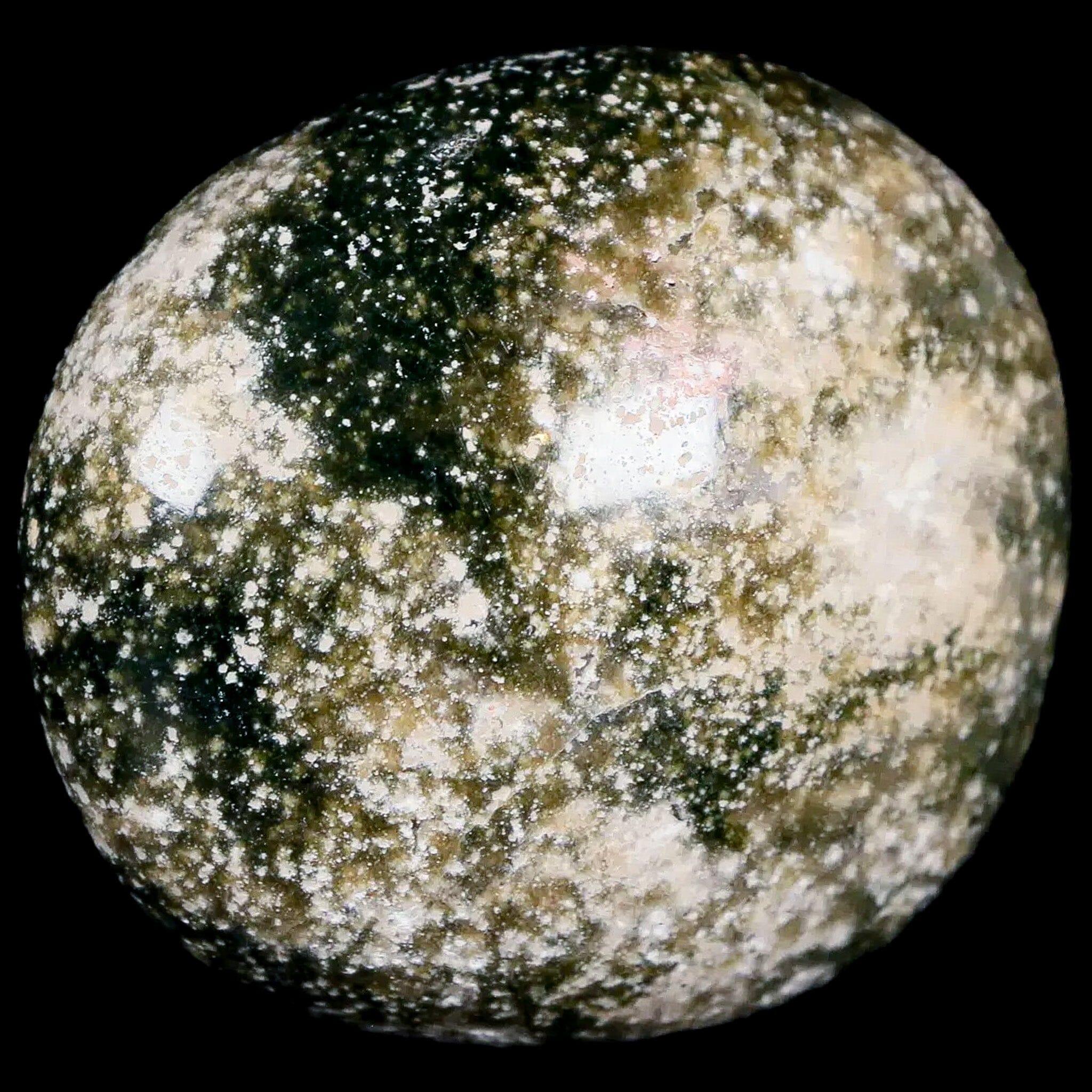 2.4" Natural Polished Ocean Jasper Crystal Palm Stone Location Madagascar Healing - Fossil Age Minerals