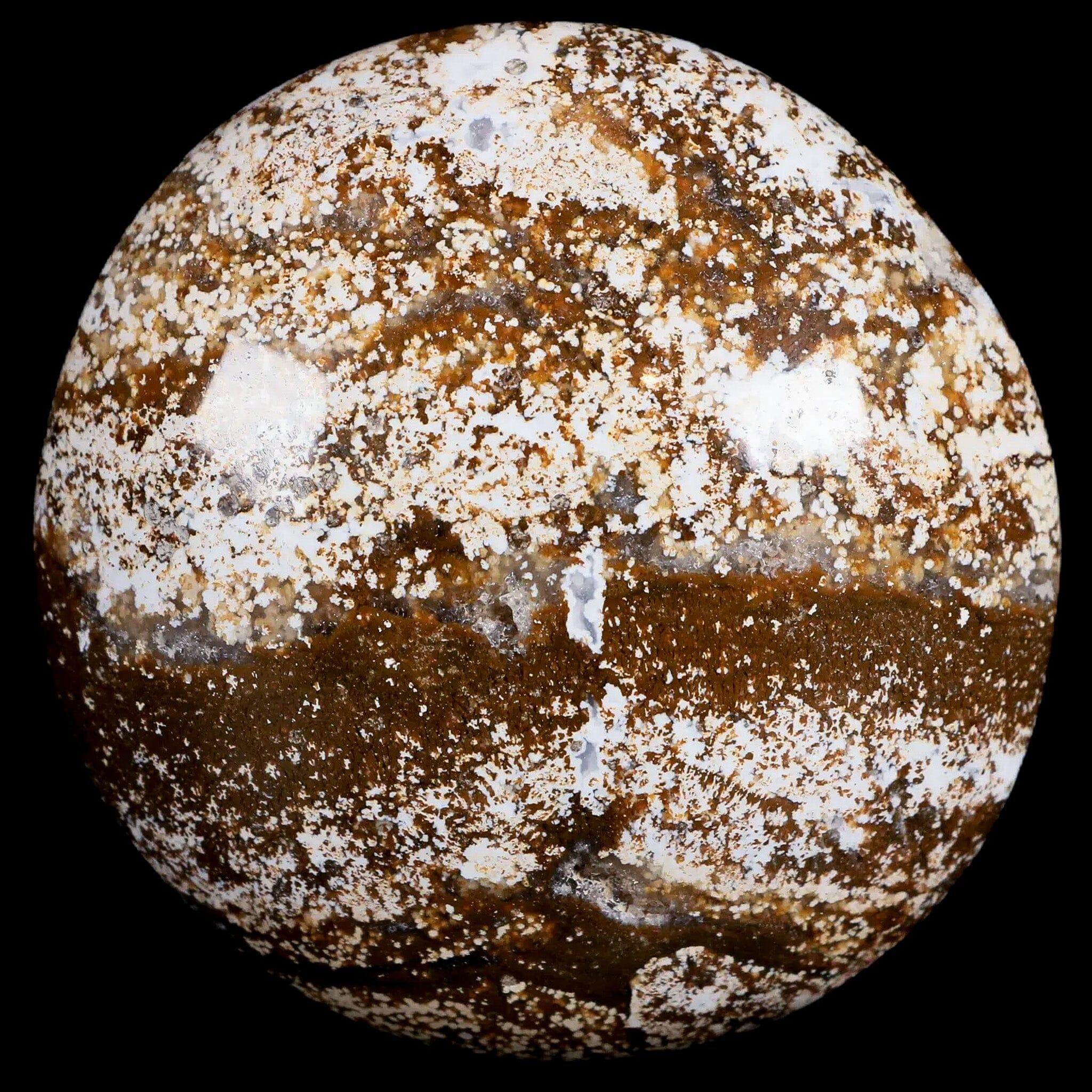 3.1" Natural Polished Ocean Jasper Crystal Palm Stone Location Madagascar Healing - Fossil Age Minerals