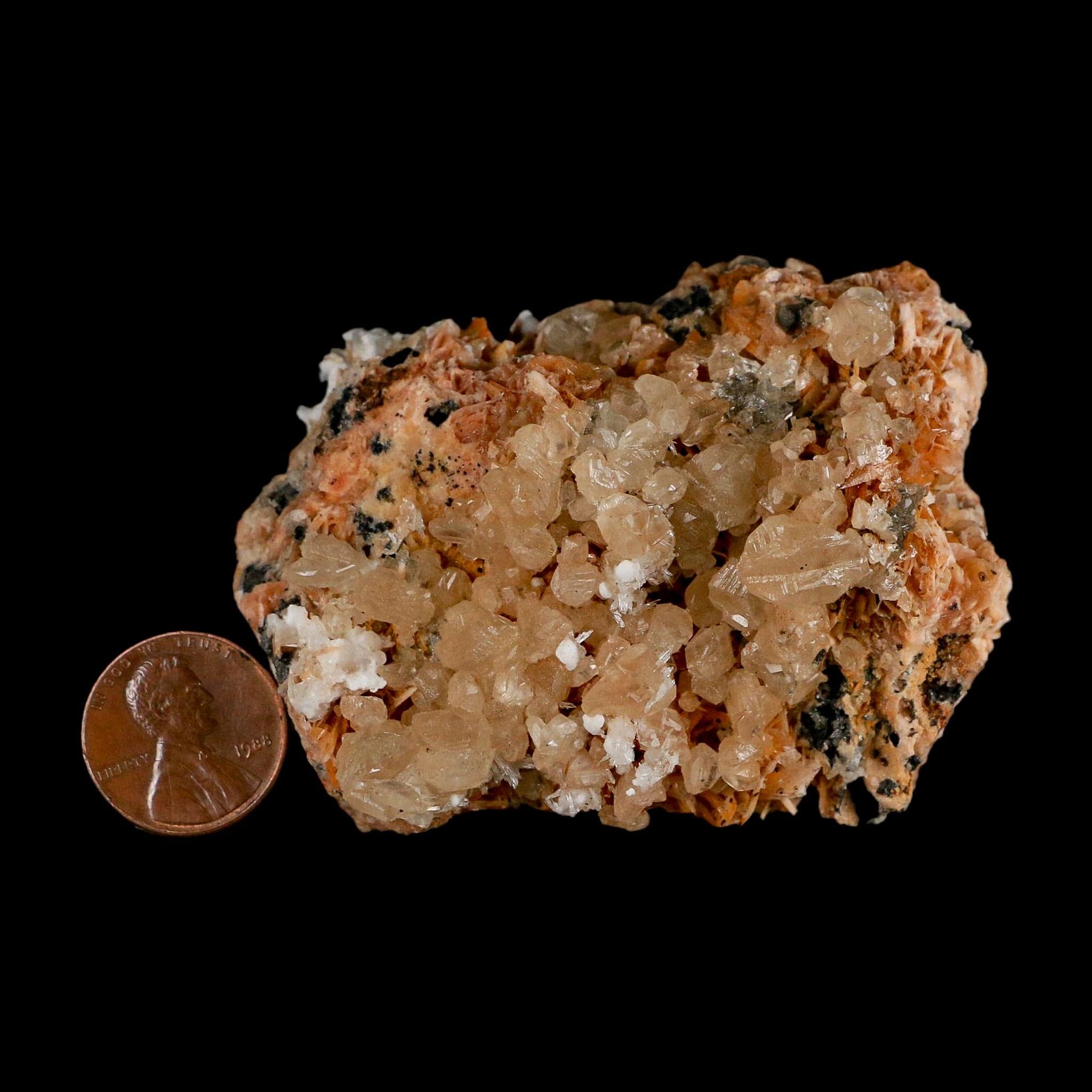 2.8" Sparkly Orange Barite Blades, Cerussite Crystals, Galena Crystal Mineral Morocco - Fossil Age Minerals