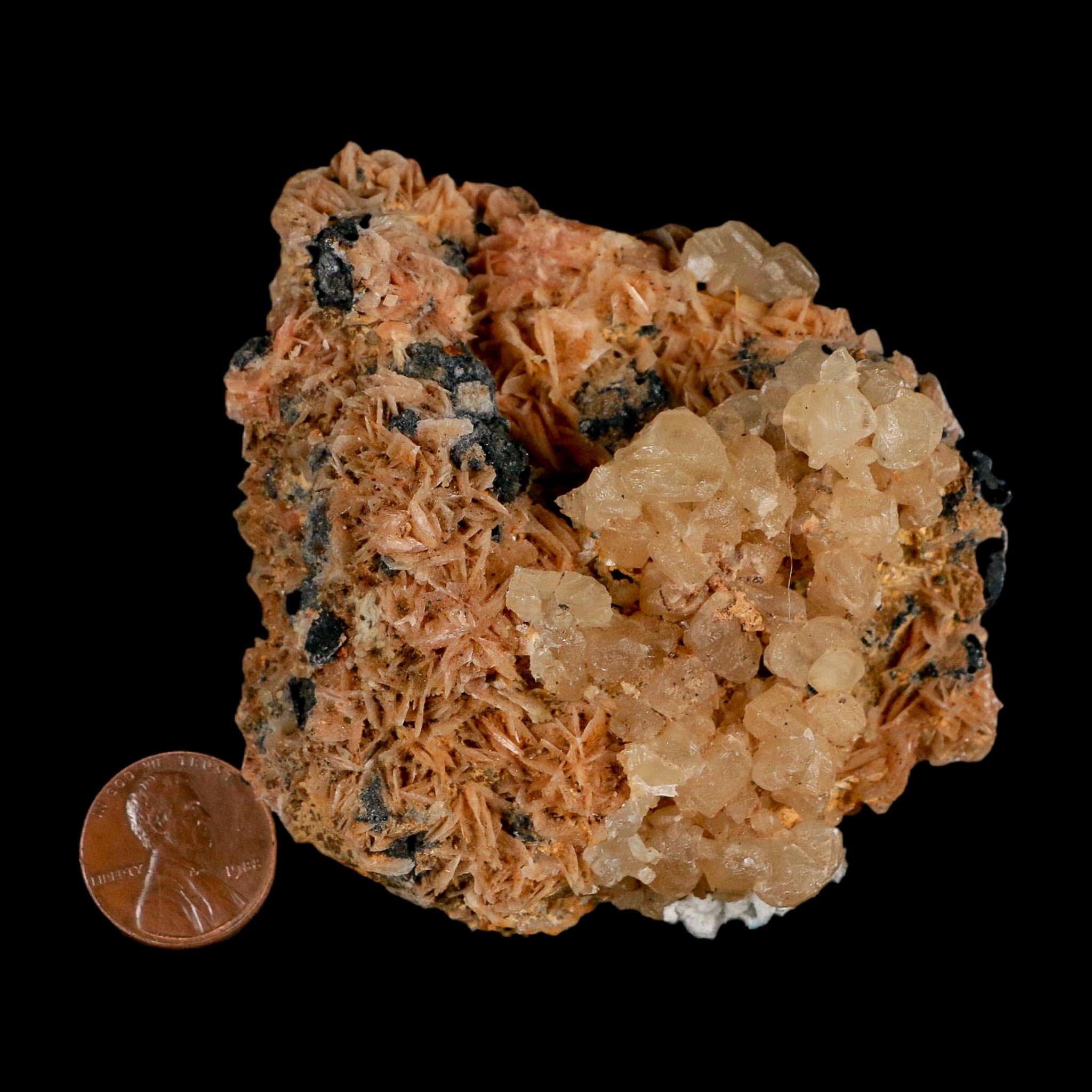 3.3" Sparkly Orange Barite Blades, Cerussite Crystals, Galena Crystal Mineral Morocco - Fossil Age Minerals