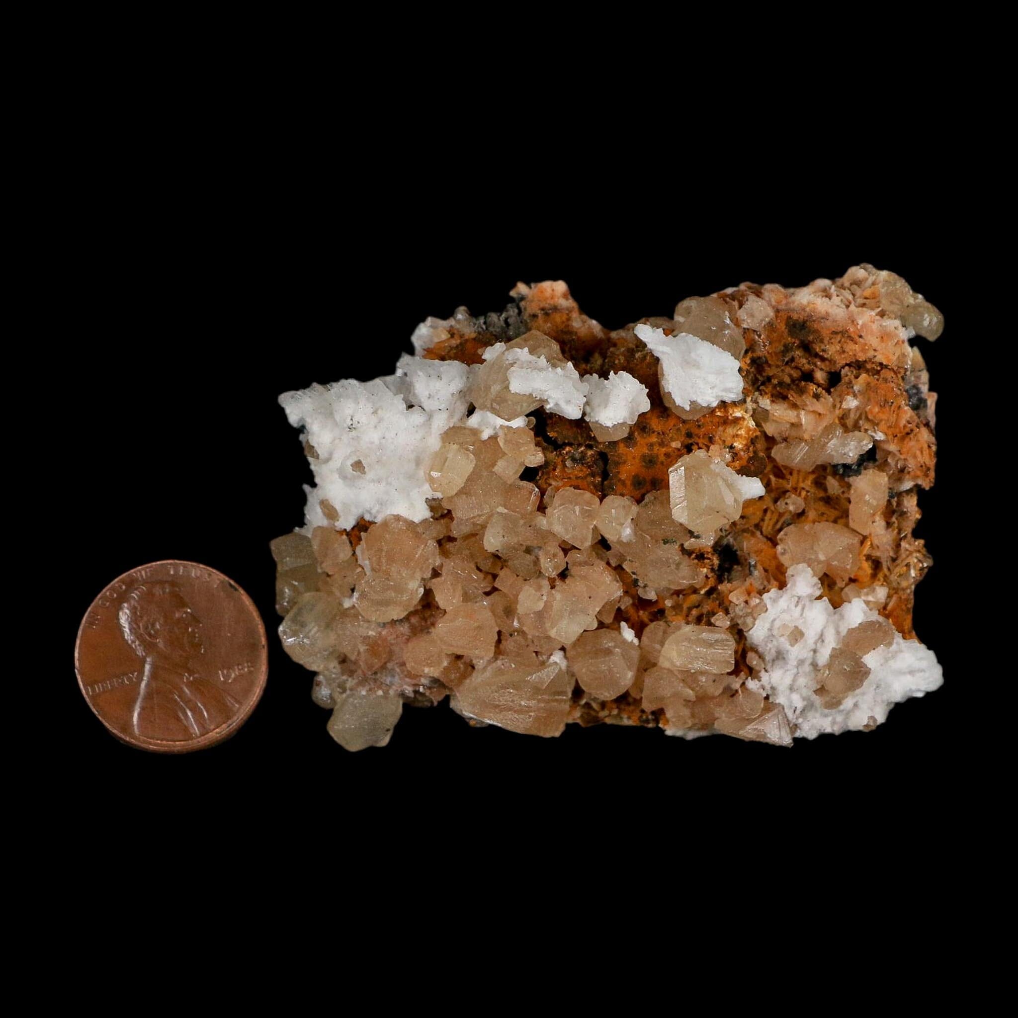 2.5" Sparkly Orange Barite Blades, Cerussite Crystals, Galena Crystal Mineral Morocco - Fossil Age Minerals