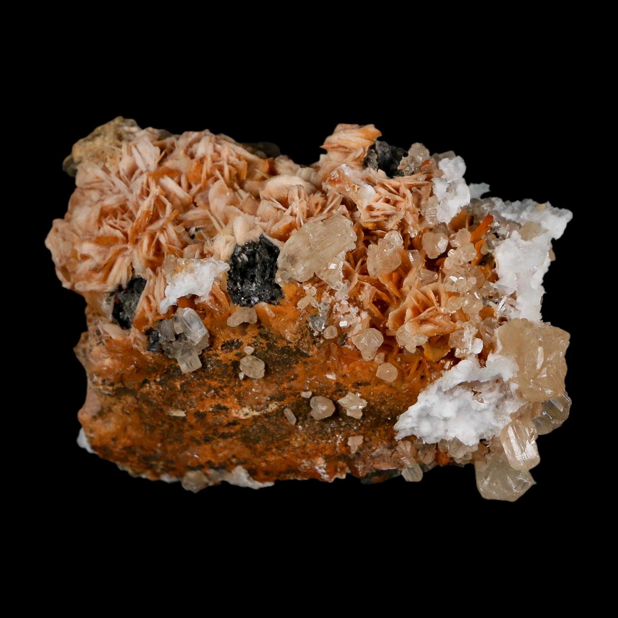 2.5" Sparkly Orange Barite Blades, Cerussite Crystals, Galena Crystal Mineral Morocco - Fossil Age Minerals