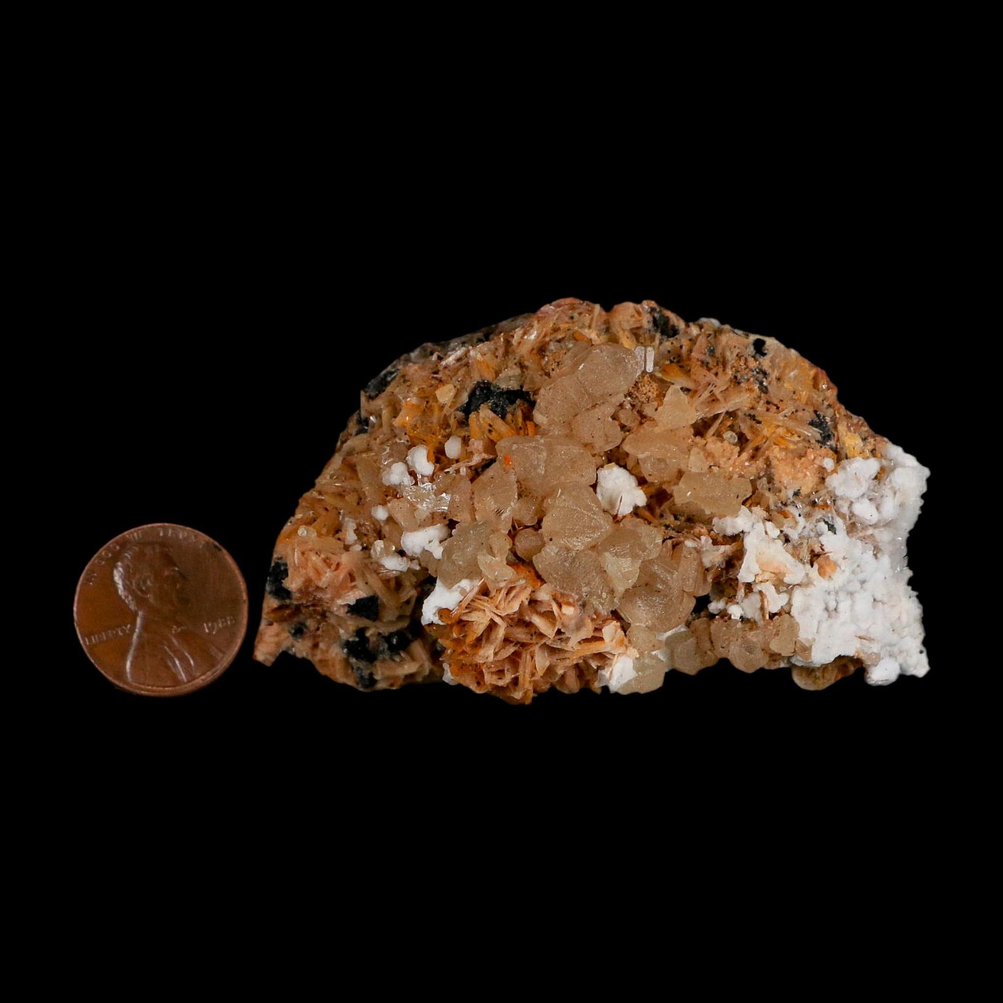 2.8" Sparkly Orange Barite Blades, Cerussite Crystals, Galena Crystal Mineral Morocco - Fossil Age Minerals