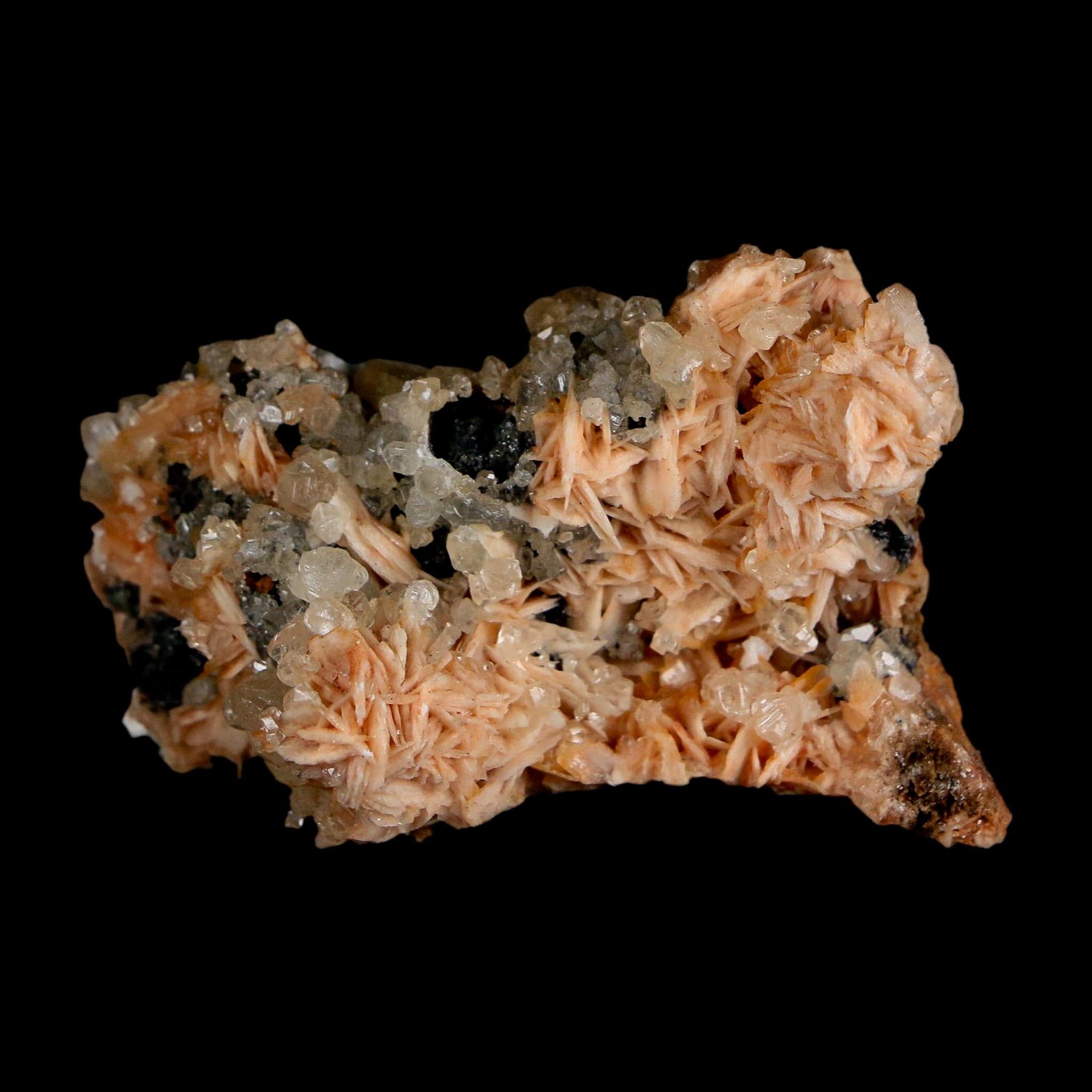 2.2" Sparkly Orange Barite Blades, Cerussite Crystals, Galena Crystal Mineral Morocco - Fossil Age Minerals