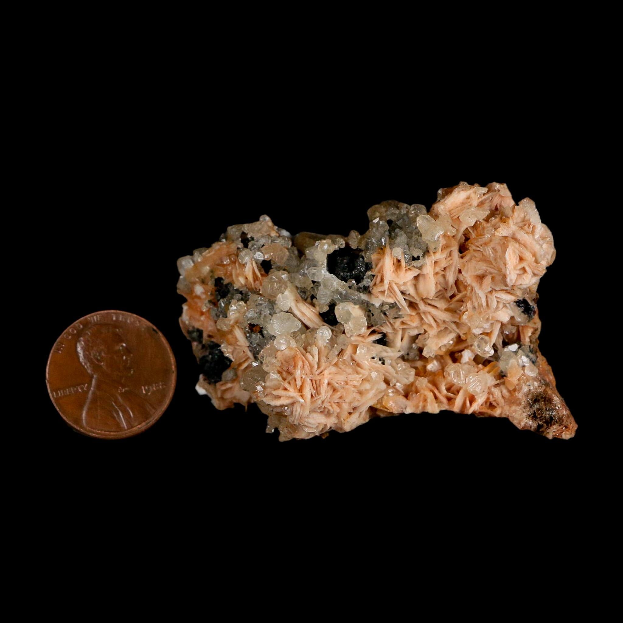 2.2" Sparkly Orange Barite Blades, Cerussite Crystals, Galena Crystal Mineral Morocco - Fossil Age Minerals
