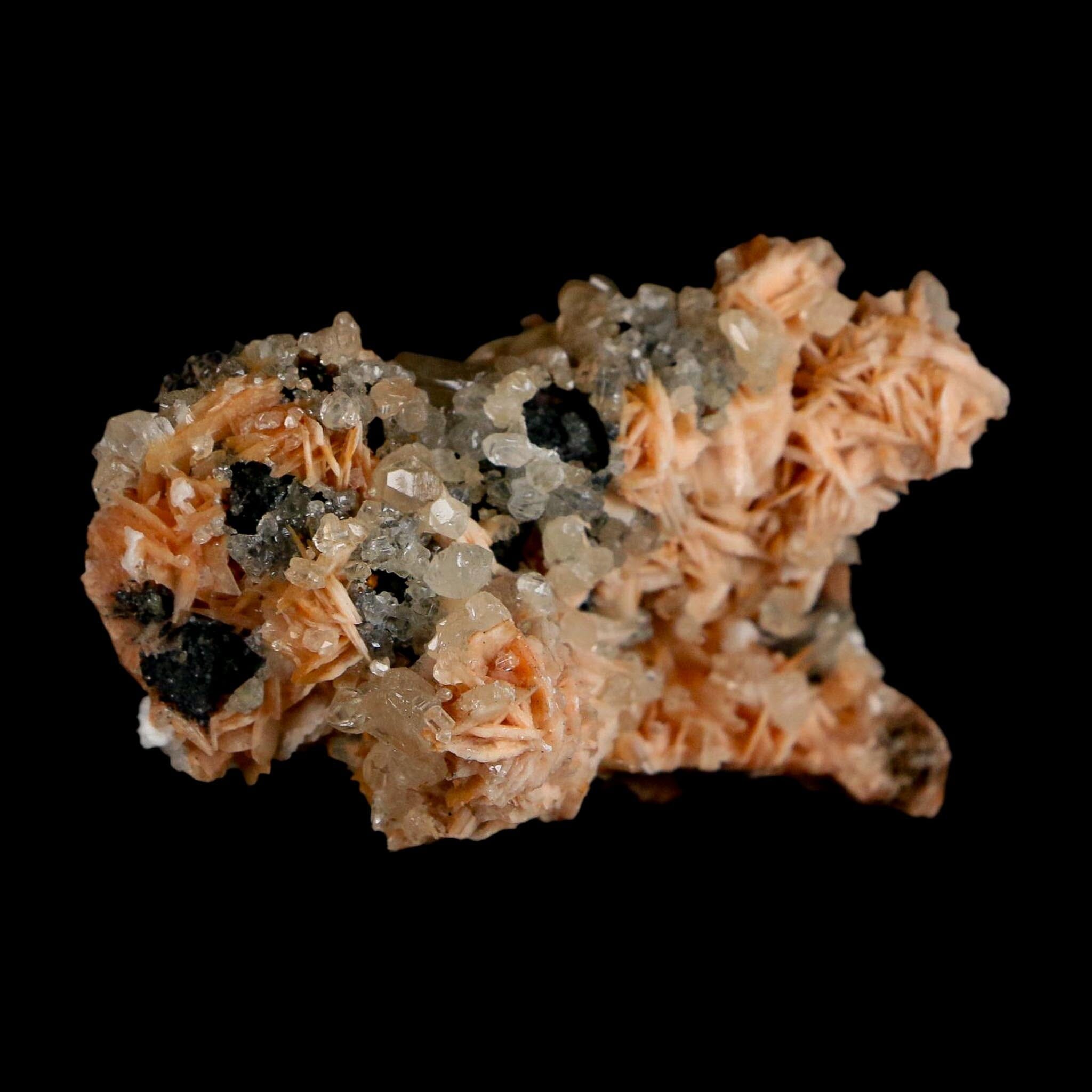 2.2" Sparkly Orange Barite Blades, Cerussite Crystals, Galena Crystal Mineral Morocco - Fossil Age Minerals