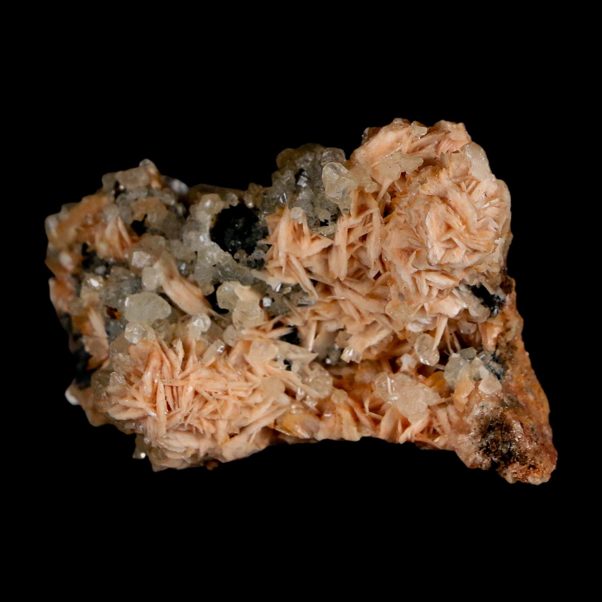 2.2" Sparkly Orange Barite Blades, Cerussite Crystals, Galena Crystal Mineral Morocco - Fossil Age Minerals
