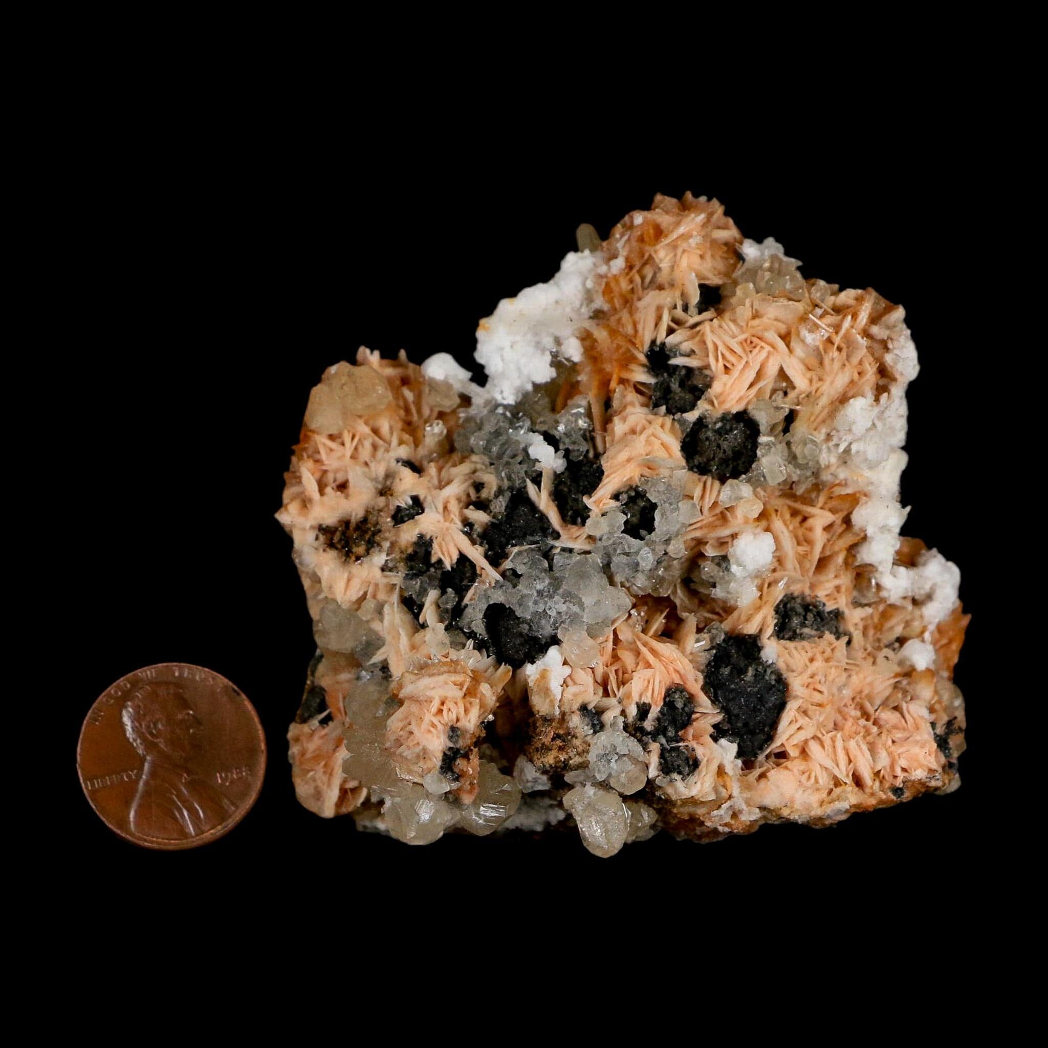 2.7" Sparkly Orange Barite Blades, Cerussite Crystals, Galena Crystal Mineral Morocco - Fossil Age Minerals