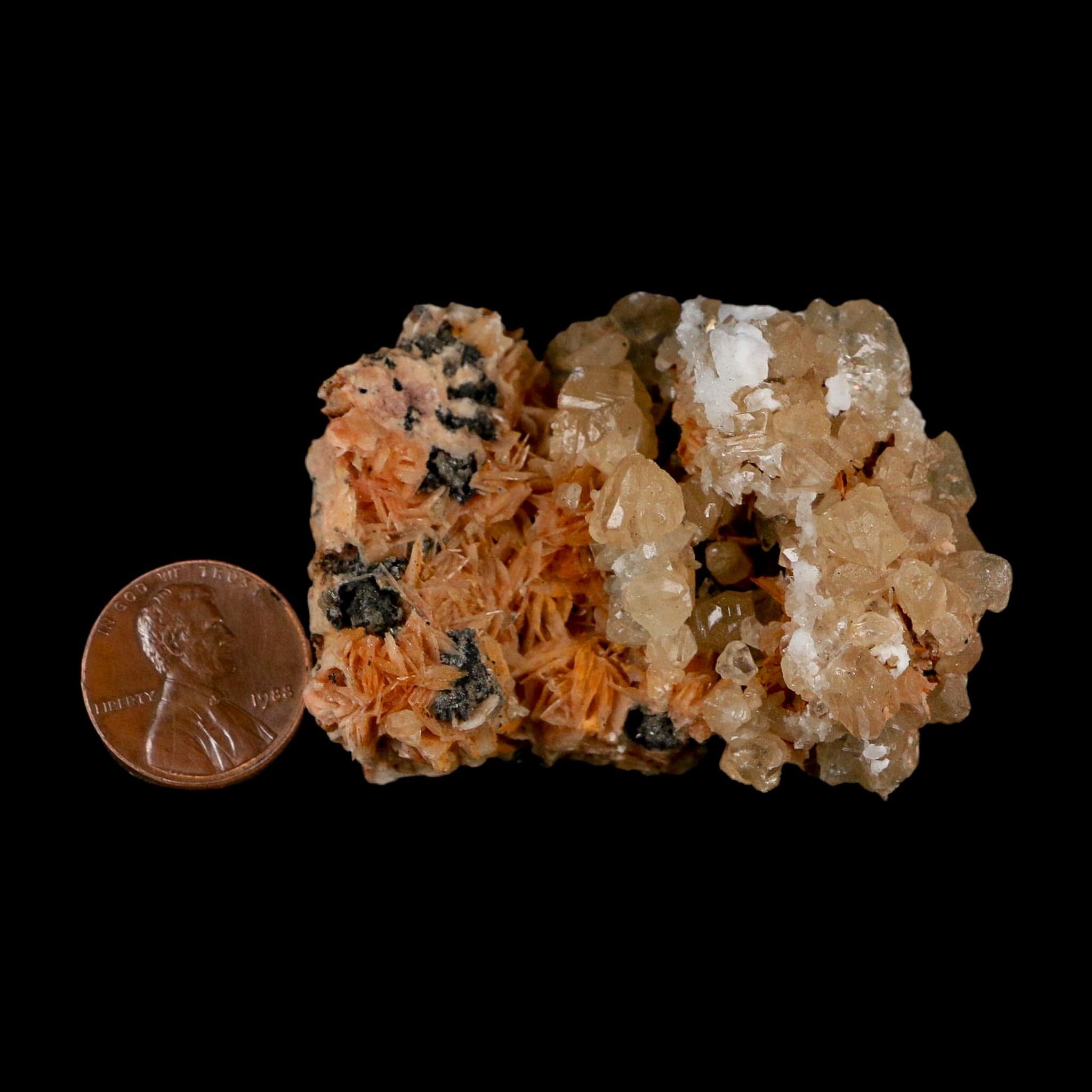 2.2" Sparkly Orange Barite Blades, Cerussite Crystals, Galena Crystal Mineral Morocco - Fossil Age Minerals
