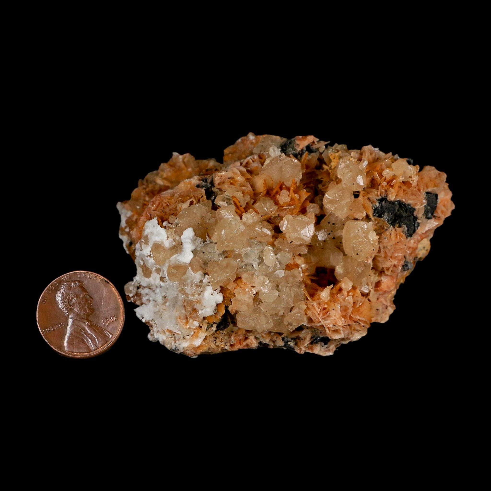 2.9" Sparkly Orange Barite Blades, Cerussite Crystals, Galena Crystal Mineral Morocco - Fossil Age Minerals