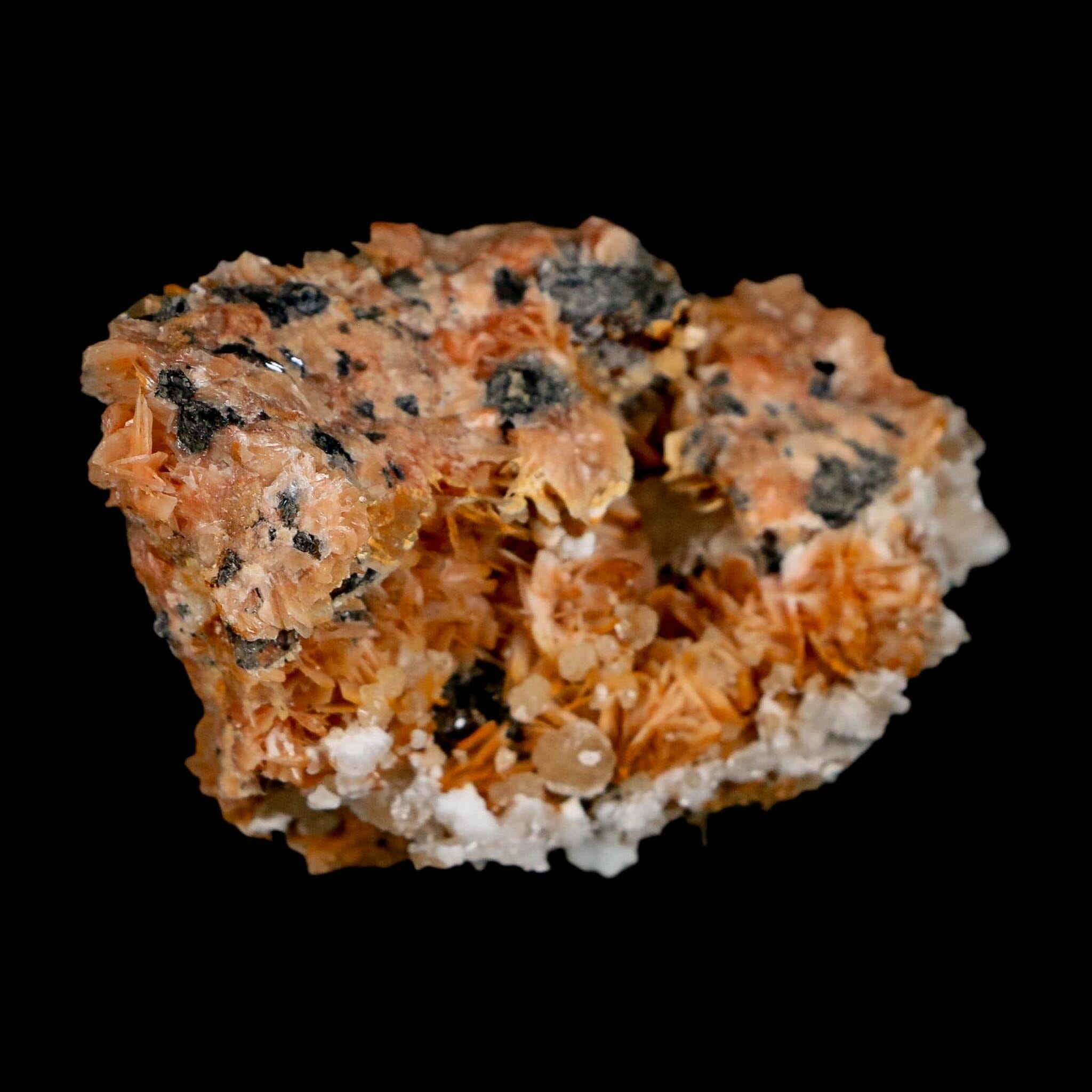 2.9" Sparkly Orange Barite Blades, Cerussite Crystals, Galena Crystal Mineral Morocco - Fossil Age Minerals