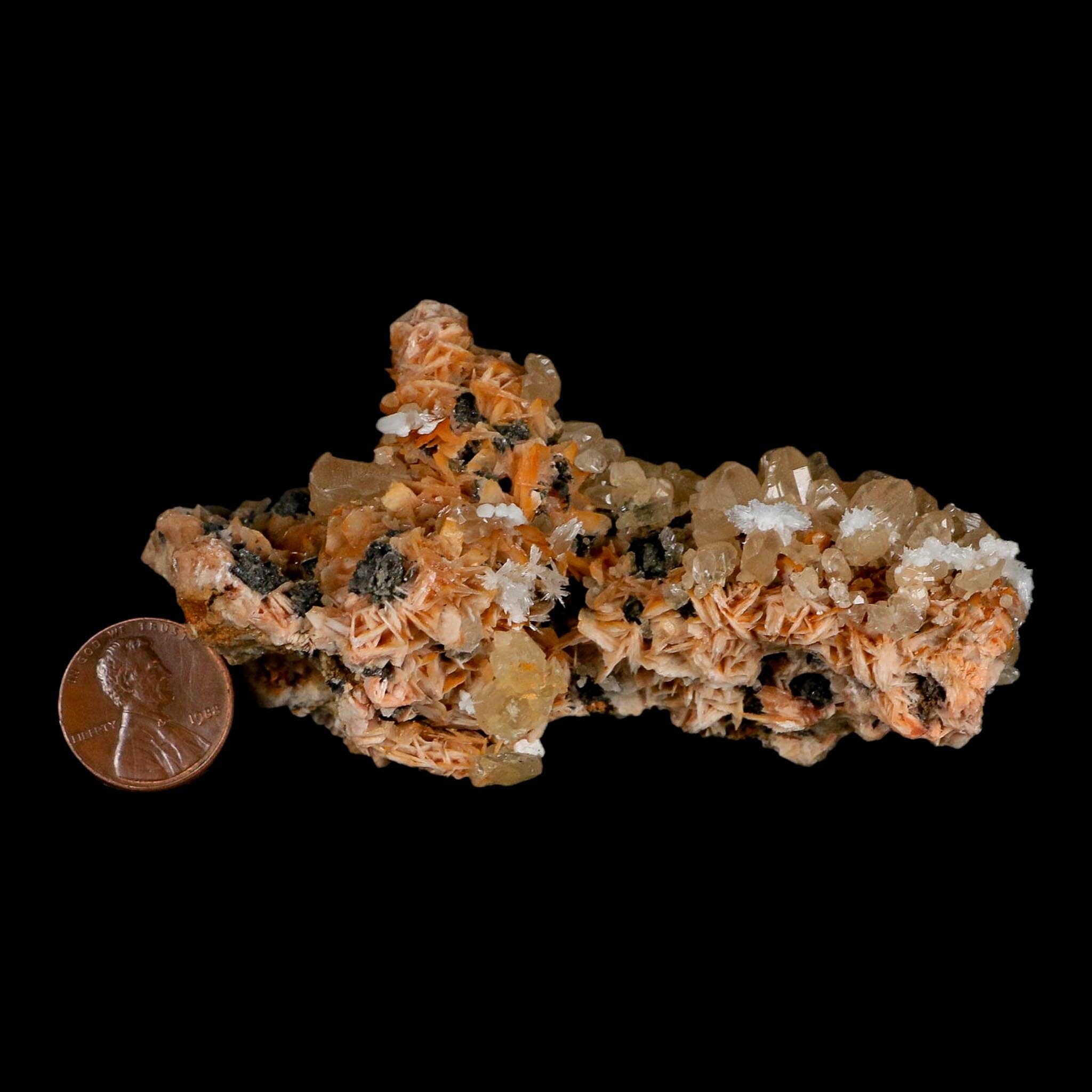 3.7" Sparkly Orange Barite Blades, Cerussite Crystals, Galena Crystal Mineral Morocco