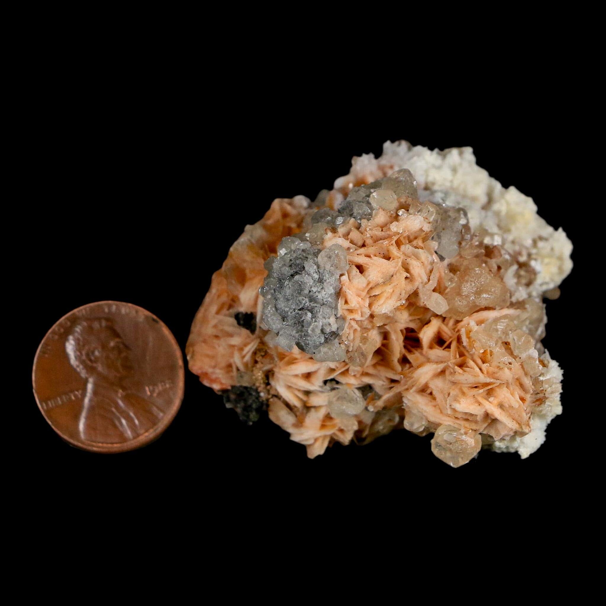 1.9" Sparkly Orange Barite Blades, Cerussite Crystals, Galena Crystal Mineral Morocco