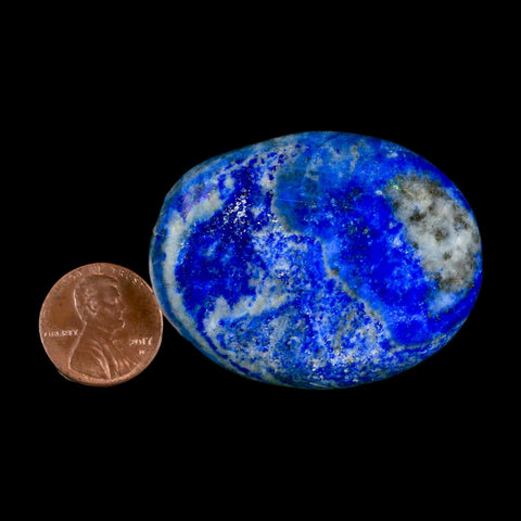 1.9" Natural Blue Lapis Lazuli Worry Palm Stone Pyrite Crystal Calcite Mineral - Fossil Age Minerals