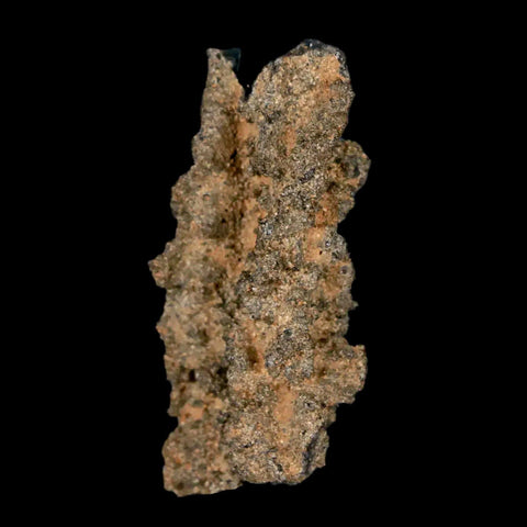 1.8" Fulgurite Petrified Lightning Strike Glass Sahara Desert Algeria - Fossil Age Minerals
