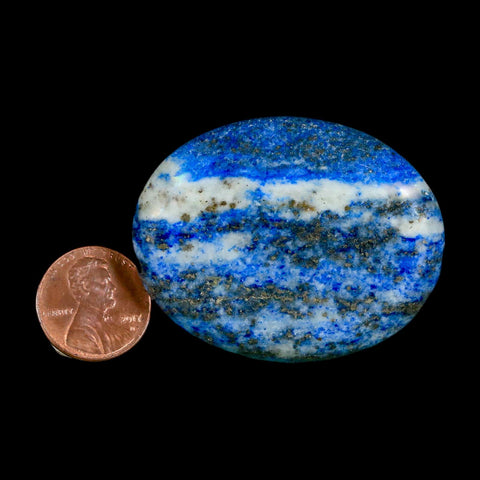 2" Natural Blue Lapis Lazuli Worry Palm Stone Pyrite Crystal Calcite Mineral - Fossil Age Minerals