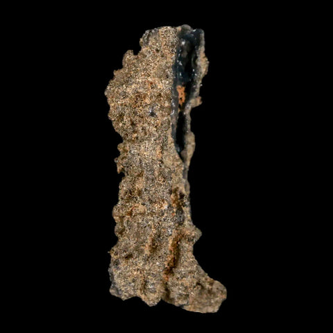 1.8" Fulgurite Petrified Lightning Strike Glass Sahara Desert Algeria - Fossil Age Minerals