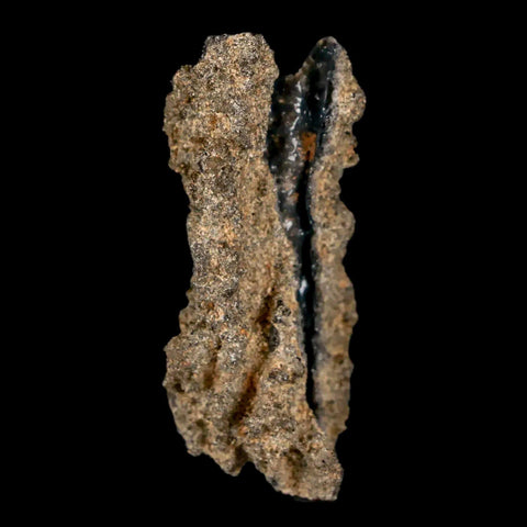 1.8" Fulgurite Petrified Lightning Strike Glass Sahara Desert Algeria - Fossil Age Minerals