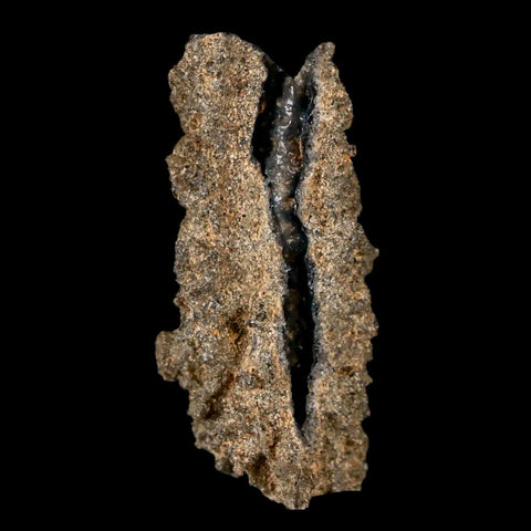 1.8" Fulgurite Petrified Lightning Strike Glass Sahara Desert Algeria - Fossil Age Minerals