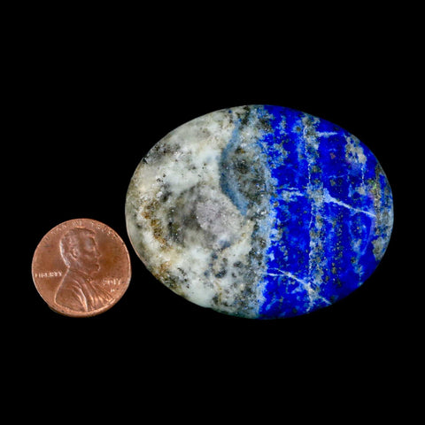 1.9" Natural Blue Lapis Lazuli Worry Palm Stone Pyrite Crystal Calcite Mineral - Fossil Age Minerals