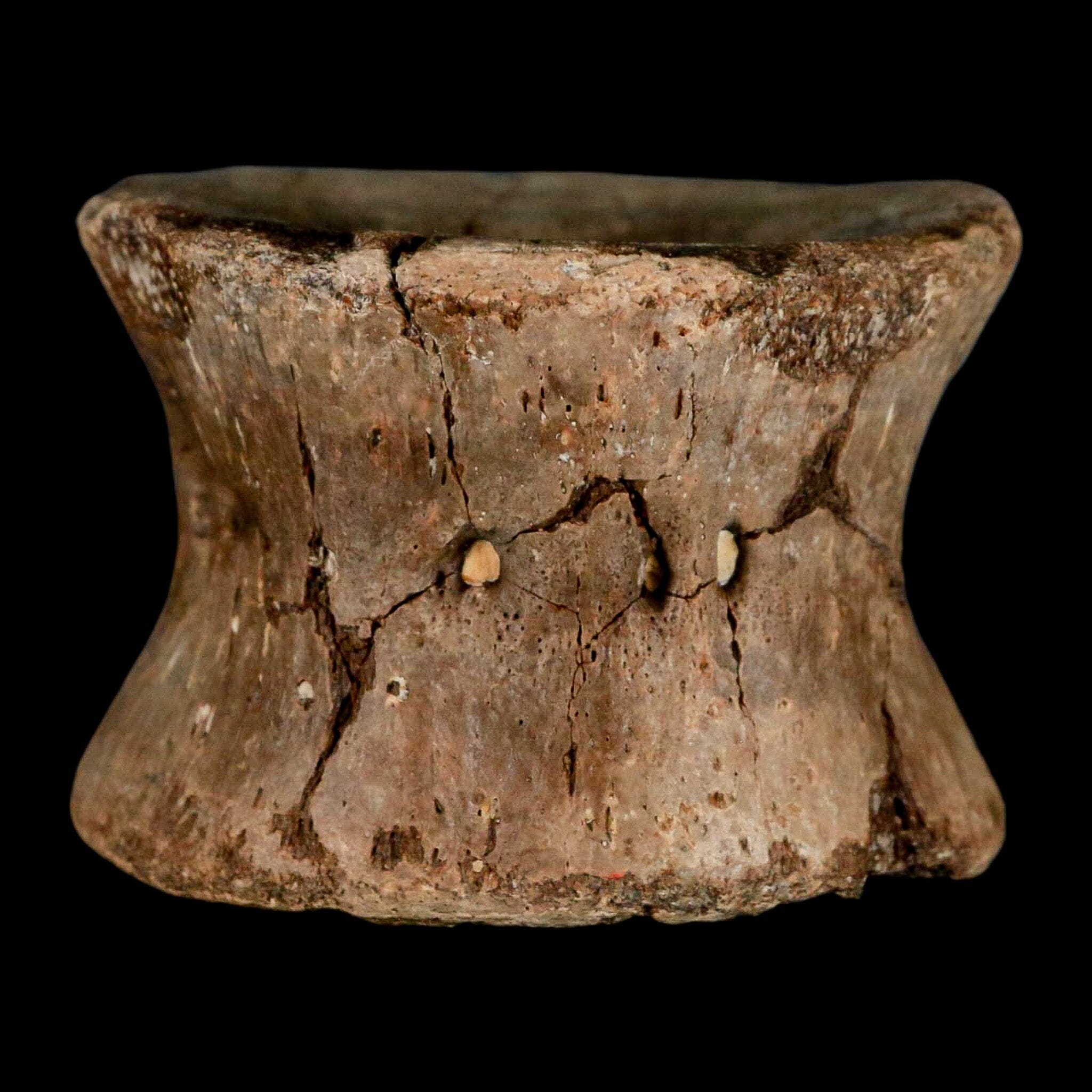 2.4" Plesiosaur Fossil Vertebra Cretaceous Dinosaur Era Ozan FM Fannin County Texas - Fossil Age Minerals
