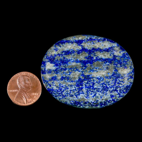 2" Natural Blue Lapis Lazuli Worry Palm Stone Pyrite Crystal Calcite Mineral - Fossil Age Minerals