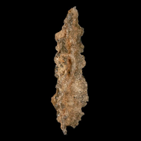 2" Fulgurite Petrified Lightning Strike Glass Sahara Desert Algeria - Fossil Age Minerals