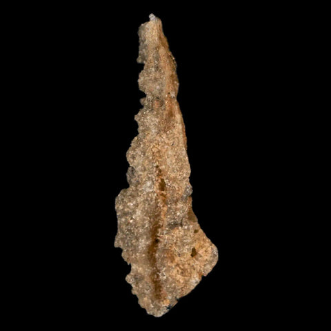 2" Fulgurite Petrified Lightning Strike Glass Sahara Desert Algeria - Fossil Age Minerals