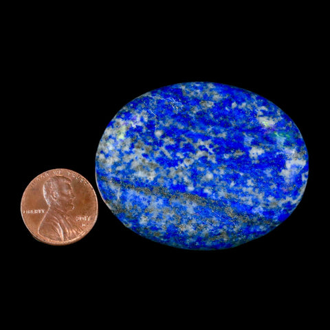 2" Natural Blue Lapis Lazuli Worry Palm Stone Pyrite Crystal Calcite Mineral - Fossil Age Minerals