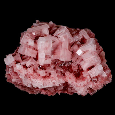 4.1" Quality Deep Pink Halite Salt Crystals Cluster Mineral Trona, CA Searles Lake