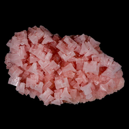 6" Quality Pink Halite Salt Crystals Cluster Mineral Trona, CA Searles Lake
