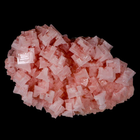 6" Quality Pink Halite Salt Crystals Cluster Mineral Trona, CA Searles Lake