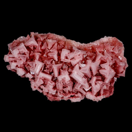 5.9" Quality Deep Pink Halite Salt Crystals Cluster Mineral Trona, CA Searles Lake