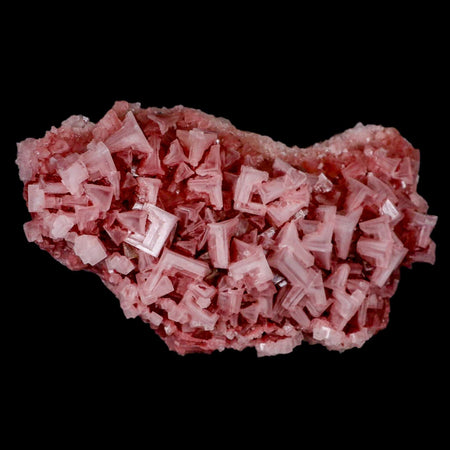 5.9" Quality Deep Pink Halite Salt Crystals Cluster Mineral Trona, CA Searles Lake