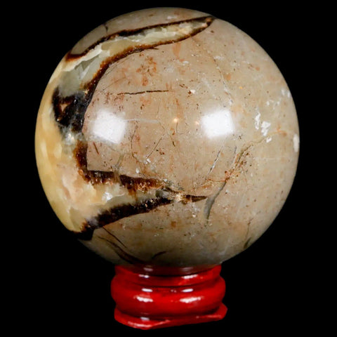 XL 57MM Septarian Dragon Stone Vug Sphere Mineral Healing Madagascar Stand - Fossil Age Minerals