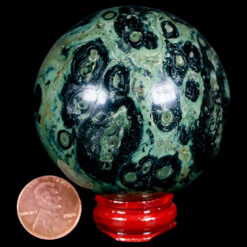 XL 57MM Green Eye Kambaba Jasper Sphere Stromatolite Algae Fossil Peacock Stand - Fossil Age Minerals