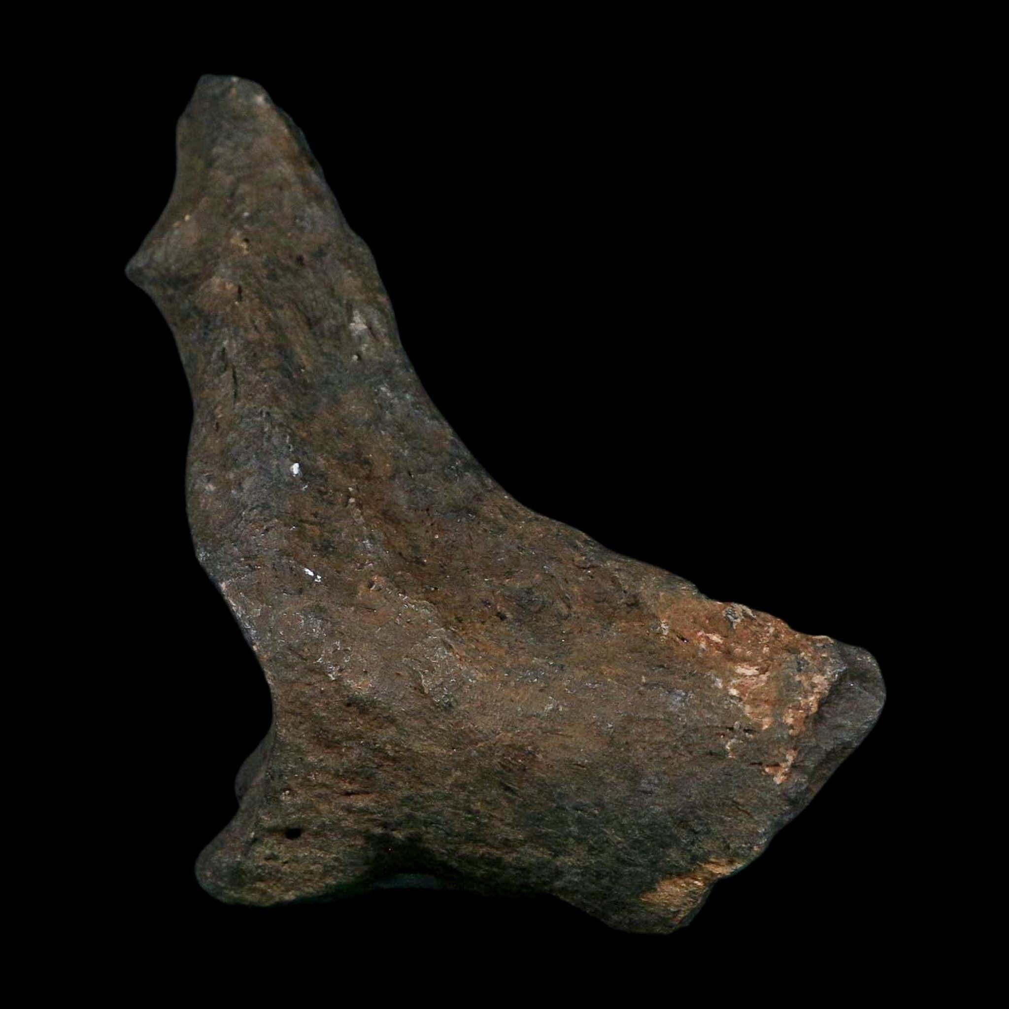 3.4" Giant Ground Sloth Rib Fossil Pleistocene Epoch North Florida Metal Stand - Fossil Age Minerals
