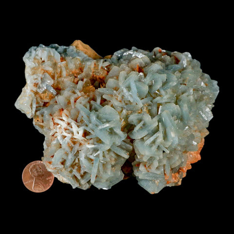 4.9" Ice Blue Tabular Barite Blades Crystal Mineral Specimen Meknes-Tafilalet Morocco - Fossil Age Minerals