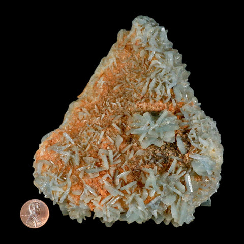 5.3" Ice Blue Tabular Barite Blades Crystal Mineral Specimen Meknes-Tafilalet Morocco - Fossil Age Minerals