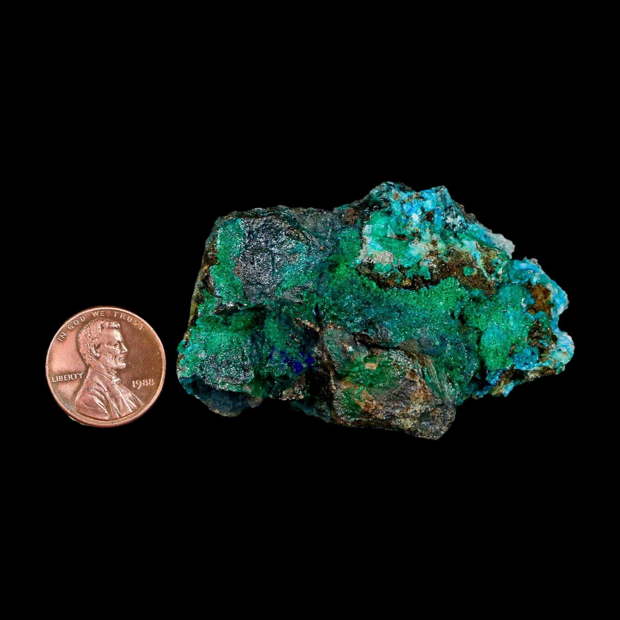 2.4" Chrysocolla And Malachite Crystal Mineral Specimen On Matrix From Peru - Fossil Age Minerals