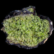 3.7" Emerald Peridot Crystals, Chrome Diopside And Spinel On Volcanic Rock Gila, AZ