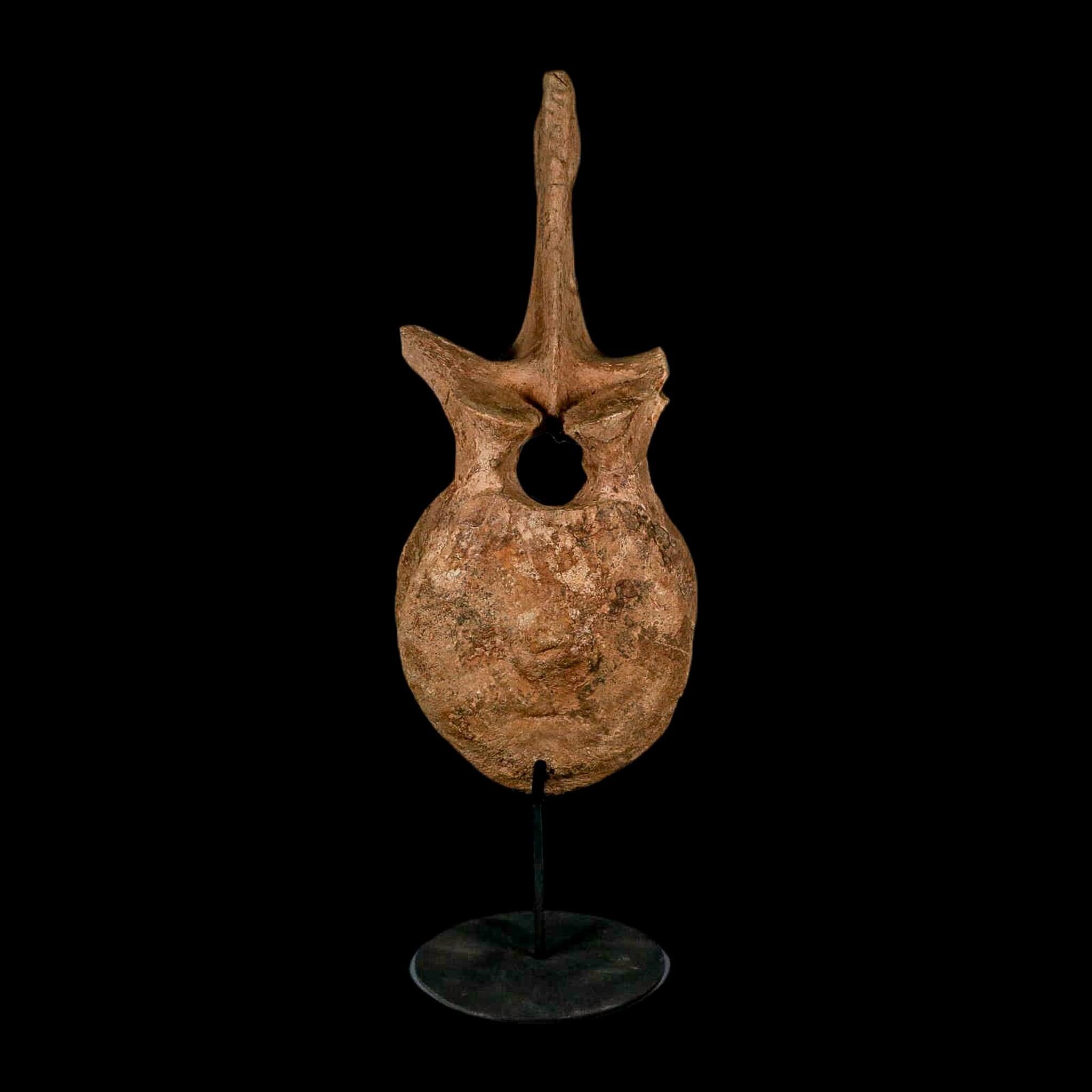 XL 16.5" Hadrosaur Dinosaur Fossil Vertebrae Bone Hell Creek FM MT COA Metal Stand - Fossil Age Minerals