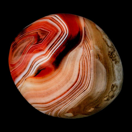 1.8" Natural Polished Red Silk Banded Agate Chalcedony Mineral Specimen