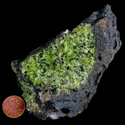 XL 4.3" Emerald Peridot Crystals, Chrome Diopside And Spinel On Volcanic Rock Gila, AZ - Fossil Age Minerals