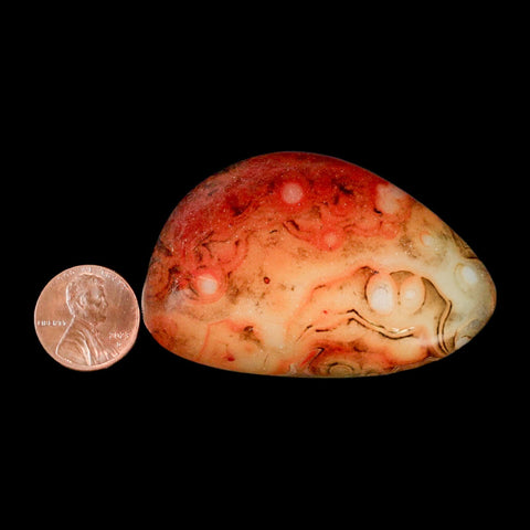 2.4" Natural Polished Red Silk Banded Agate Chalcedony Mineral Specimen - Fossil Age Minerals